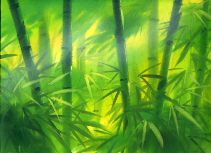 Bamboo